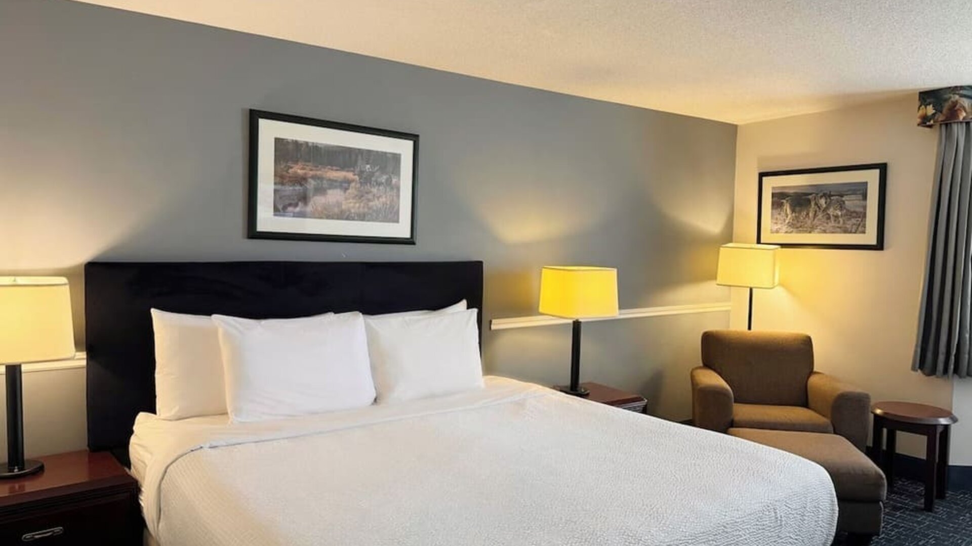 Day use room with sofa and private bathroom at Divya Sutra Plaza & Conference Centre.