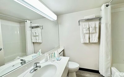 Guest bathroom with shower and tub at Divya Sutra Plaza & Conference Centre.
