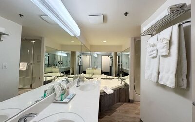 Guest bathroom with hot tub at Divya Sutra Plaza & Conference Centre.
