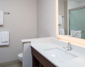 Guest bathroom with shower at Holiday Inn Express & Suites Ruston.