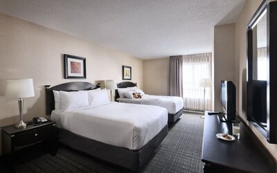 Day use twin room at Les Suites Hotel Ottawa.