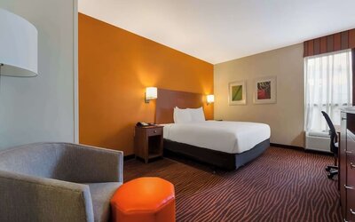 Day use room at Best Western Executive Hotel Of New Haven-West Haven.