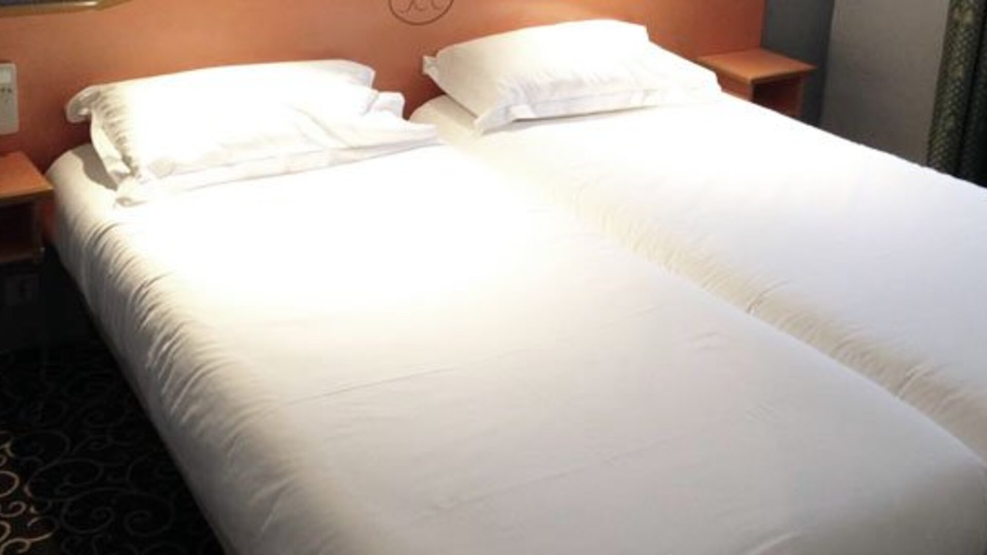 Hôtel Prince Albert Concordia