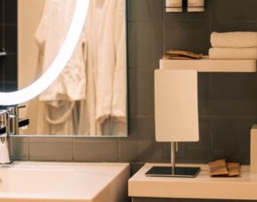 Pullman Toulouse Airport