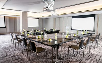 Professional meeting room at The Knickerbocker Hotel.