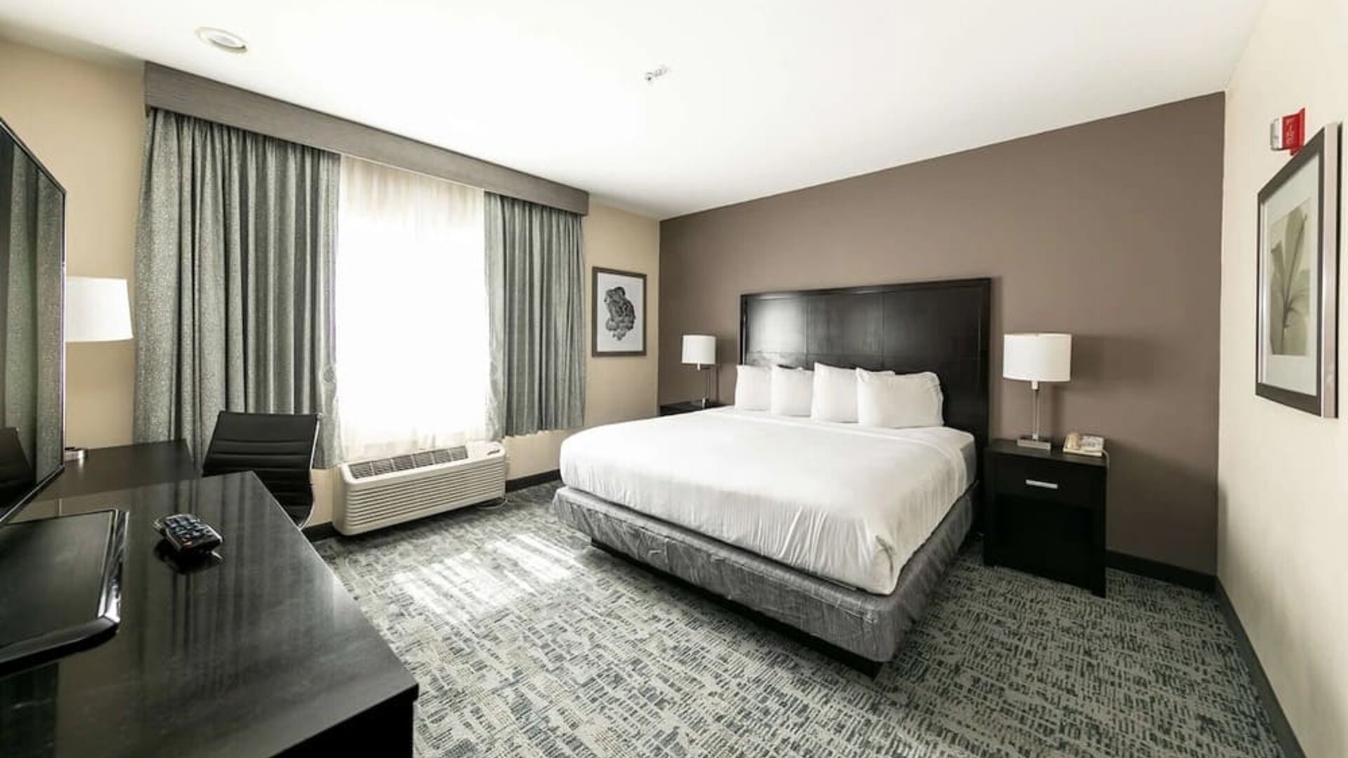 Spacious day use room with work desk at Best Western San Diego Zoo/SeaWorld Inn & Suites.