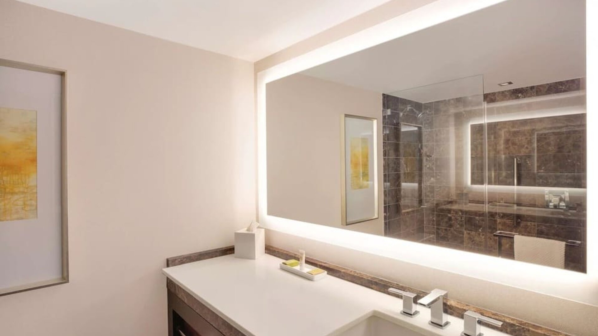 Guest bathroom with shower at Hilton McLean Tysons Corner.