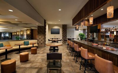 Hotel bar at DoubleTree By Hilton Scottsdale.
