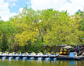 Watersports and kayaking at Parrot Key Hotel & Villas.