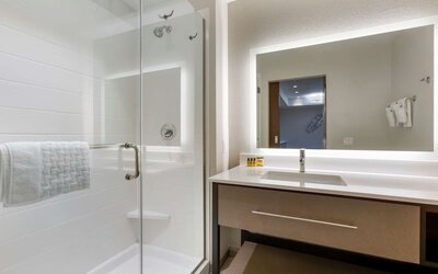 Guest bathroom with shower at Best Western Plus Executive Residency Phoenix North Happy Valley.