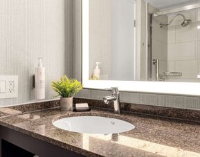 Guest bathroom with shower at Embassy Suites By Hilton Los Angeles International Airport South.