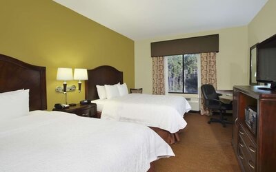 Day use twin room with work desk at Hampton Inn & Suites Conroe - I-45 North.