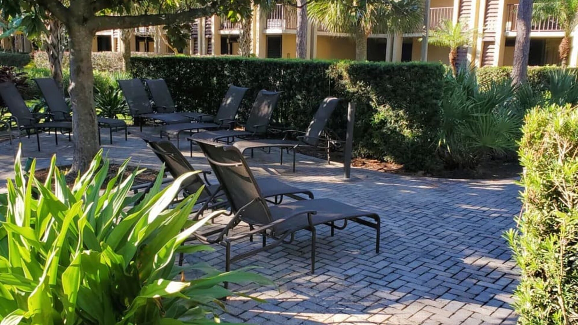 Loungers in the garden of DoubleTree By Hilton Orlando At SeaWorld.