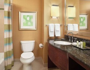 Guest bathroom with shower and tub at Hilton Orlando.