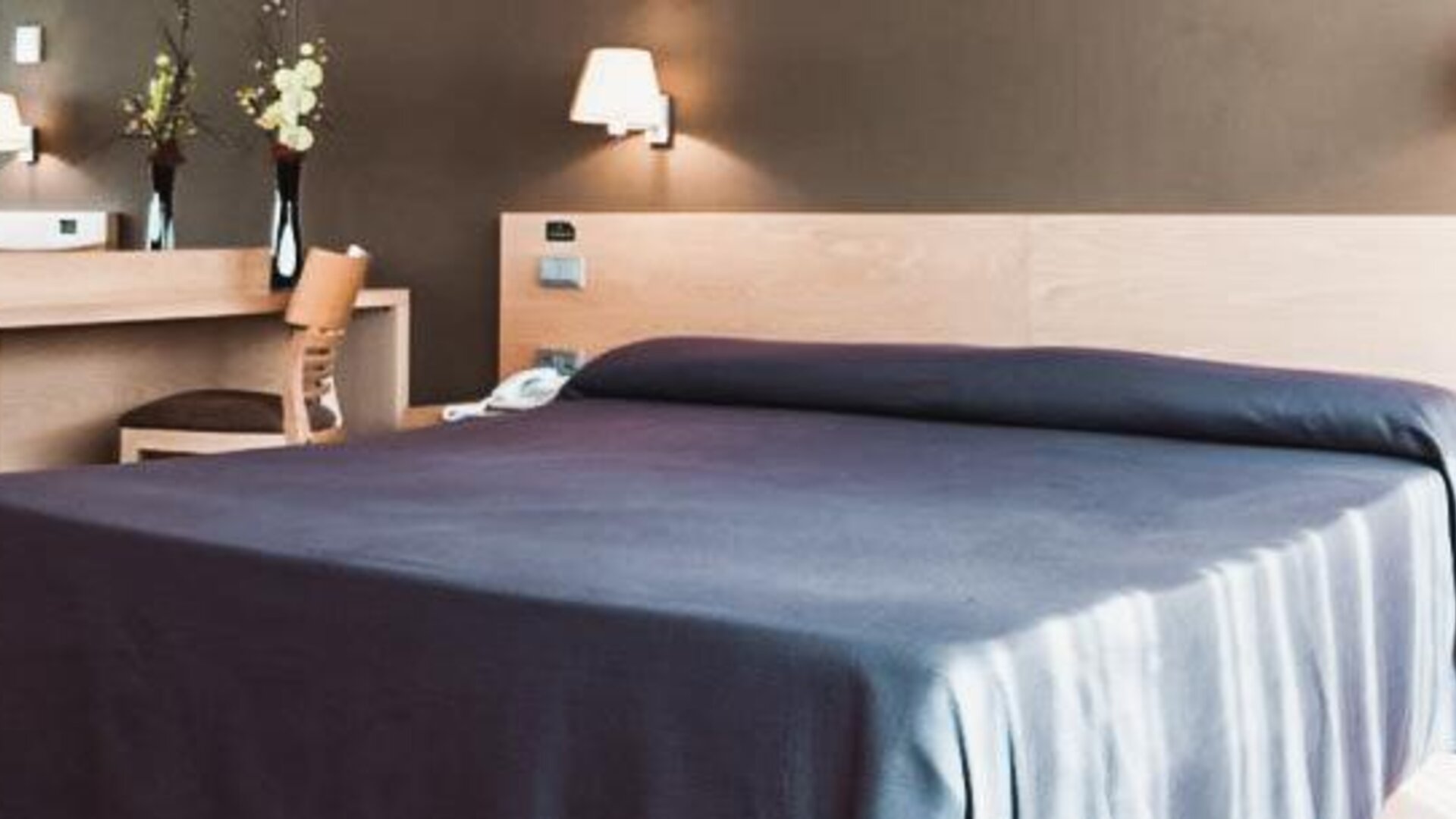 Hotel Daniya Alicante