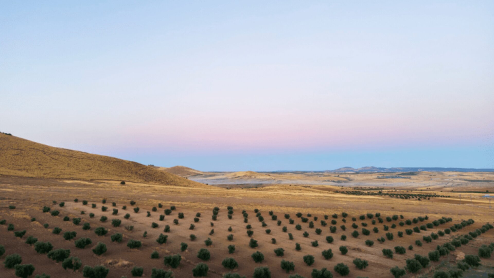 Hotel Spa Villa Nazules