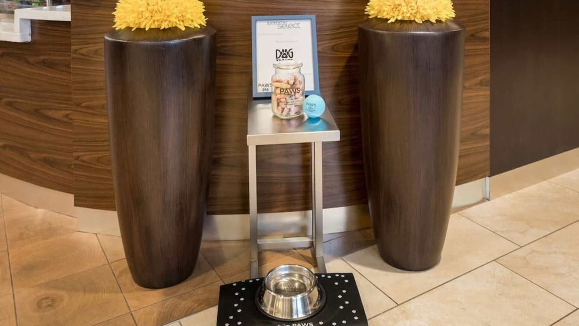 Sonesta Select Detroit Auburn Hills is pet friendly.