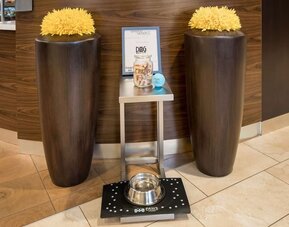 Sonesta Select Detroit Auburn Hills is pet friendly.