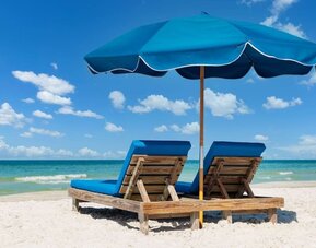 Beach sun loungers at DoubleTree Beach Resort By Hilton Tampa Bay - North Redington.