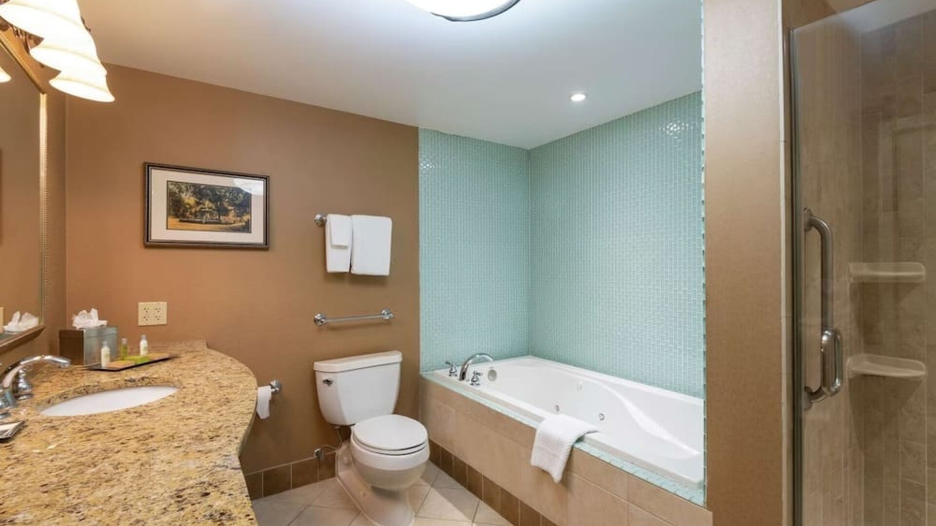 Guest bathroom with shower and tub at DoubleTree By Hilton Grand Rapids Airport.