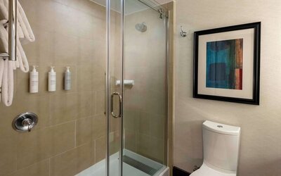 Guest bathroom with shower at Hilton Garden Inn Washington DC/Georgetown Area.