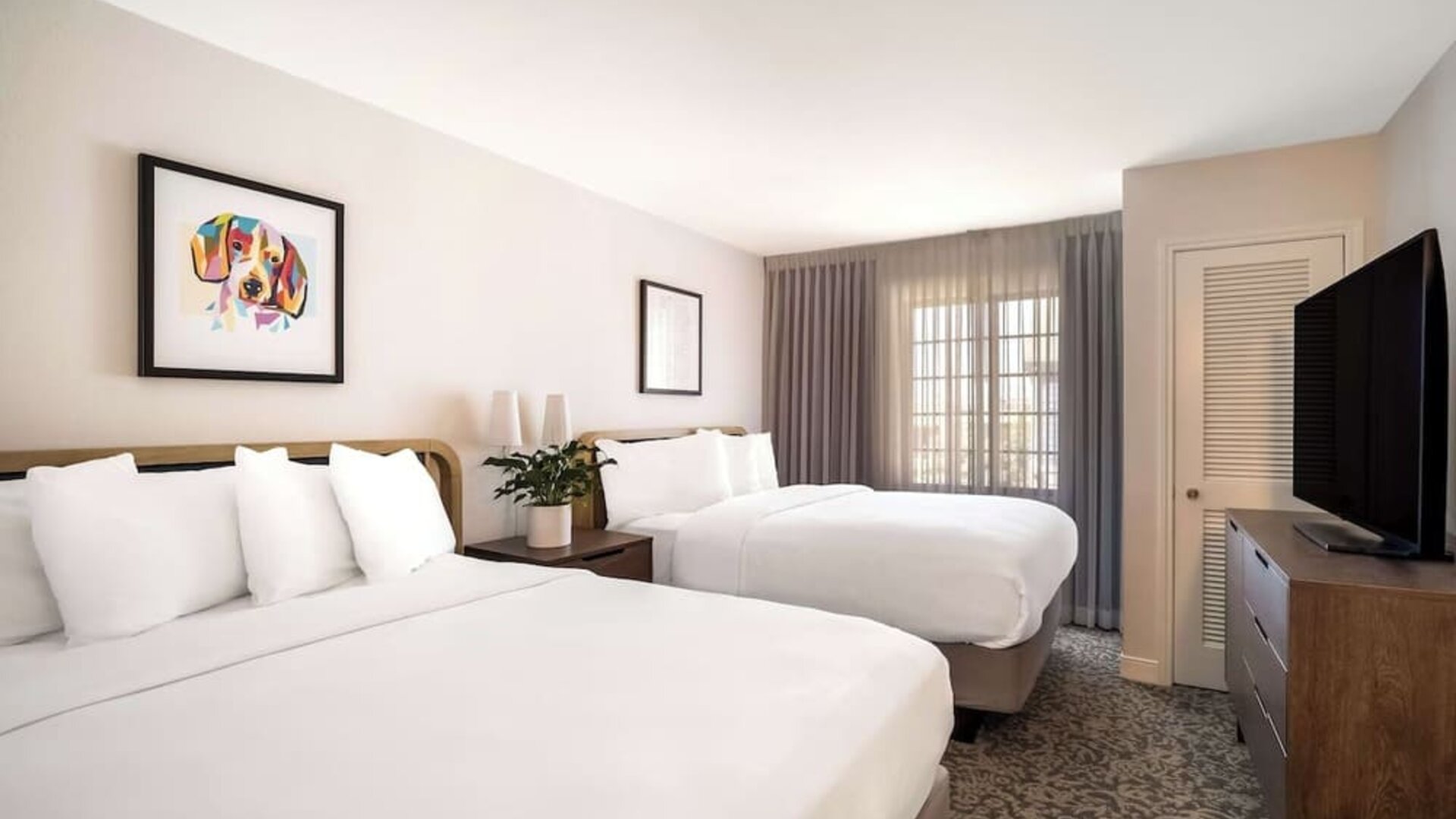 Day use twin room at Sonesta ES Suites Austin The Domain Area.