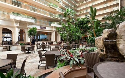 Breakfast area with natural light perfect for coworking at Embassy Suites By Hilton San Francisco Airport Waterfront.