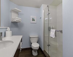Guest bathroom with shower at Hampton Inn Bloomington.
