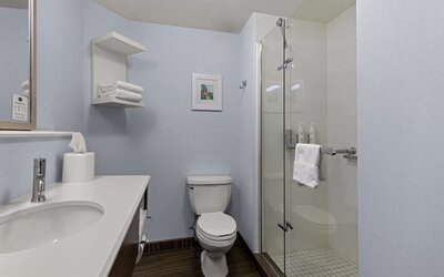 Guest bathroom with shower at Hampton Inn Bloomington.