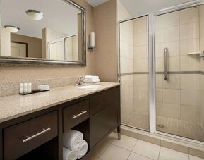 Guest bathroom with shower at Embassy Suites By Hilton Birmingham.