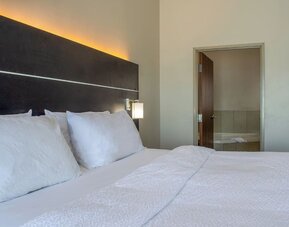 Day use room with king bed and private bathroom at 	Holiday Inn Express & Suites Yorkville.