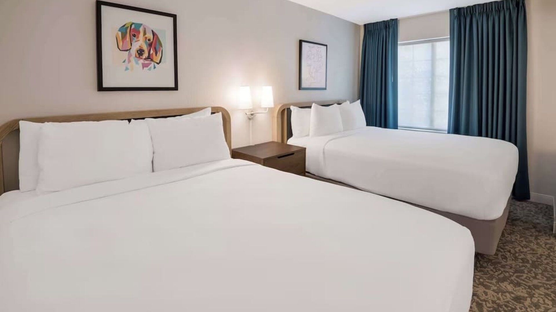 Day use twin room at Sonesta ES Suites Andover Boston.