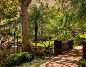Outdoor surroundings at Royal Sonesta Kaua'i Resort Lihue.