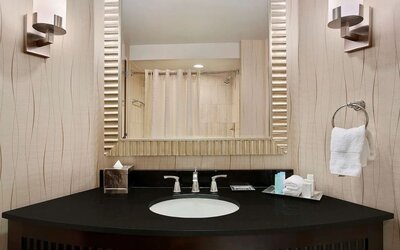 Guest bathroom with shower at Hilton Rosemont/Chicago O'Hare.