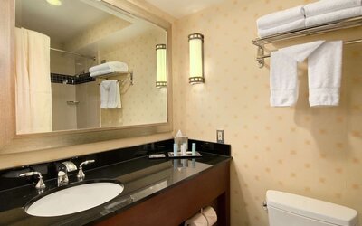 Guest bathroom with shower at Hilton Chicago O'Hare Airport.
