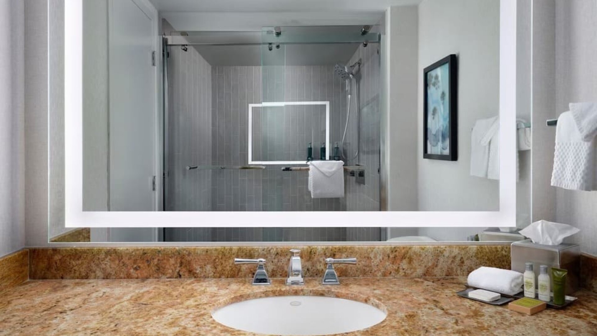 Guest bathroom with shower at Hotel Fera Anaheim, A DoubleTree By Hilton.