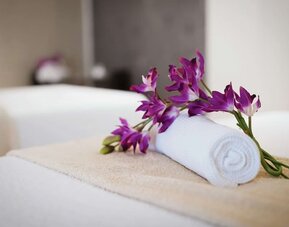 Spa services available at New York Hilton Midtown.