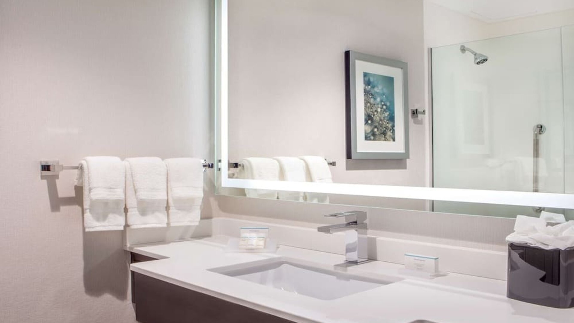 Guest bathroom with shower at Hilton Garden Inn NYC Financial Center/Manhattan Downtown.
