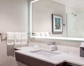 Guest bathroom with shower at Hilton Garden Inn NYC Financial Center/Manhattan Downtown.
