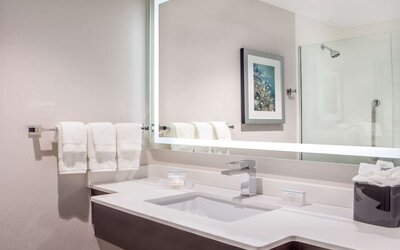 Guest bathroom with shower at Hilton Garden Inn NYC Financial Center/Manhattan Downtown.
