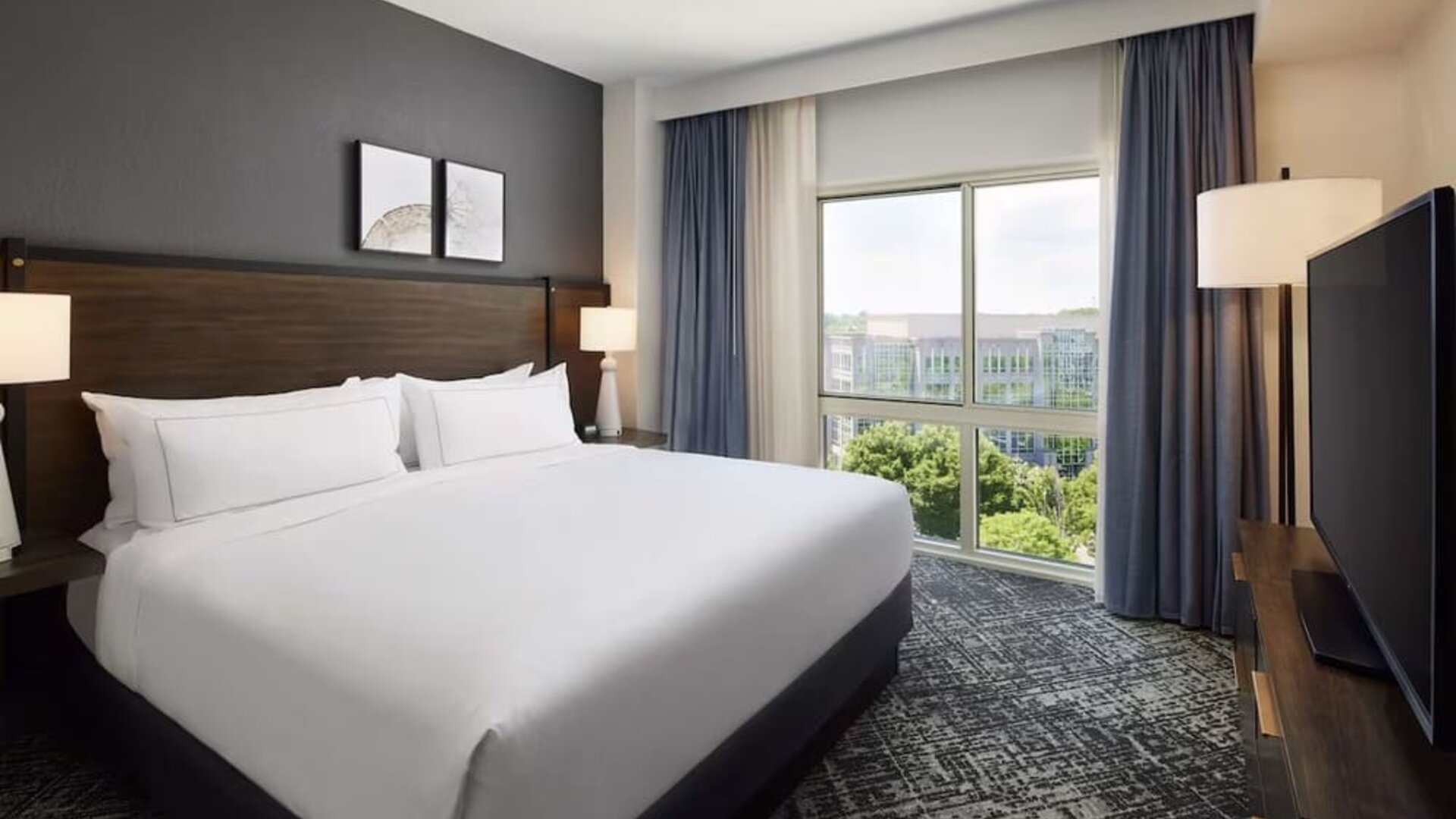 Comfortable king size bed with natural light at Hilton Charlotte Airport.

