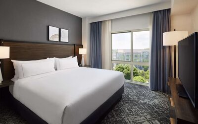 Comfortable king size bed with natural light at Hilton Charlotte Airport.
