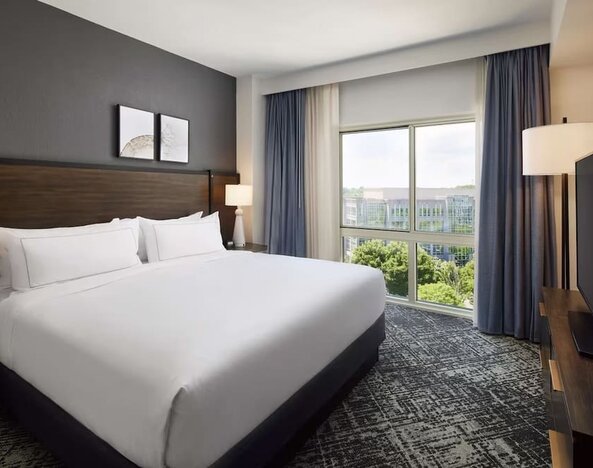 Comfortable king size bed with natural light at Hilton Charlotte Airport.
