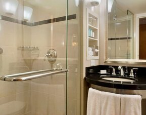 Guest bathroom with shower at New York Hilton Midtown.