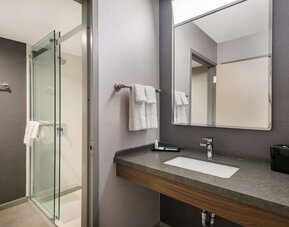 Private guest bathroom with shower at Sonesta Select San Jose Airport.
