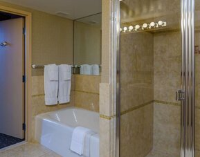 Guest bathroom with shower and tub at Beacon Hotel.