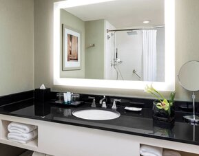 Guest bathroom with shower at The Westin Arlington Gateway.