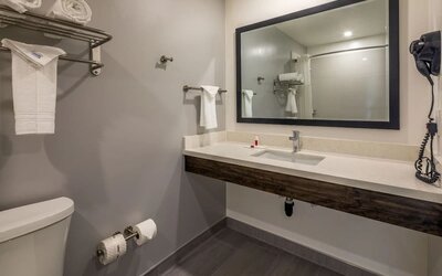 Private guest bathroom with shower and free toiletries at Travelodge LAX By Wyndham.