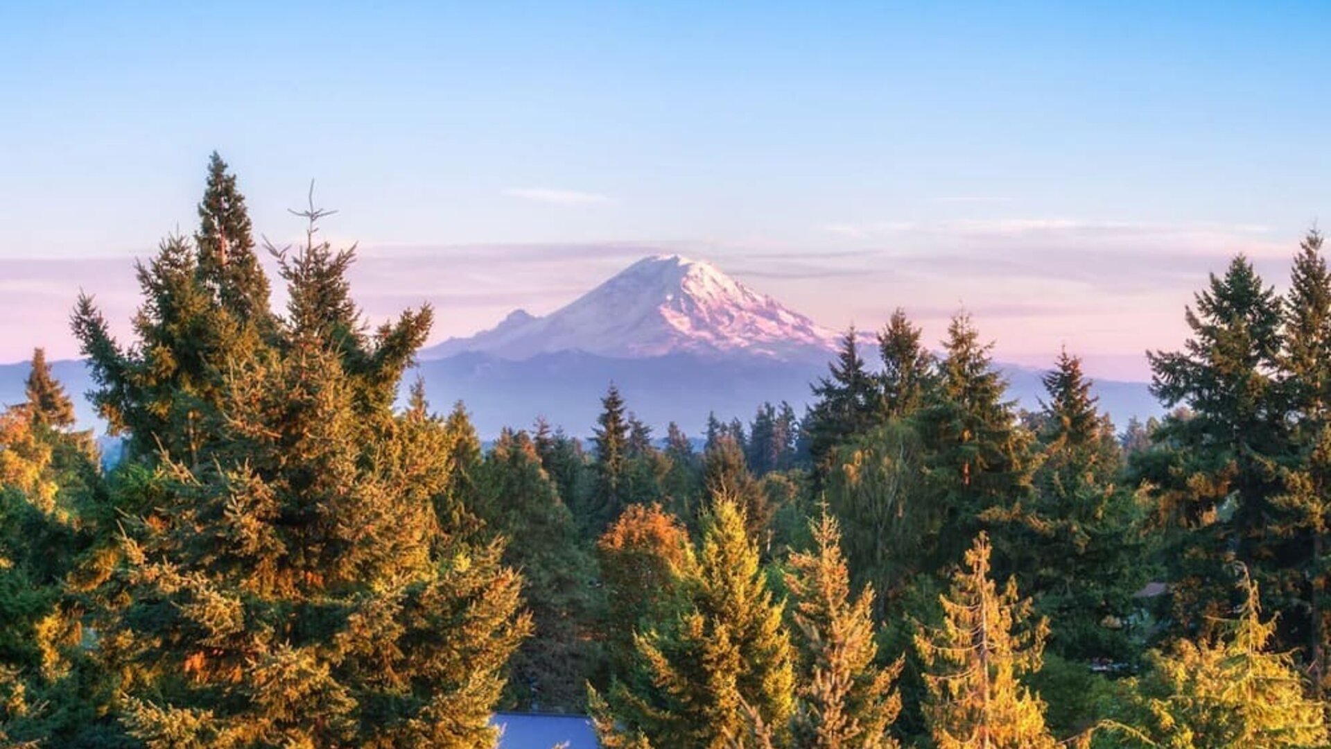 Point of interest at the DoubleTree by Hilton Seattle Airport.
