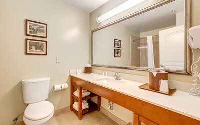 Private guest bathroom with shower at Comfort Inn Pomona Near Fairplex.